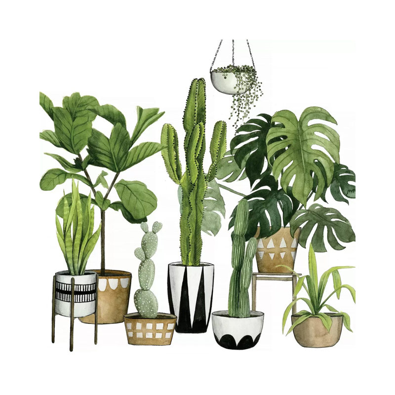 Plant Haven I 1 Piece Wrapped Canvas Wall Art, 45.72 cm H x 45.72 cm W x 1.91 cm D