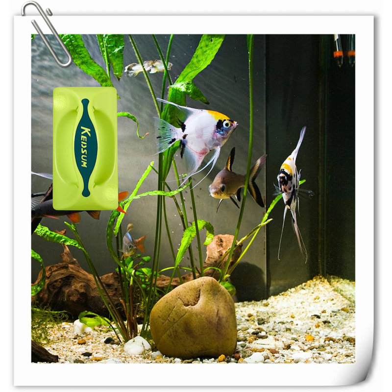 Accessoire pour aquarium Fadima, H 2,8 po x l 2,3 po x P 4,2 po