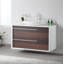 Goreme 42" W Single Wall-Mounted Vanity