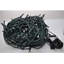 LED Indoor / Outdoor String Lights-244878512-244878520