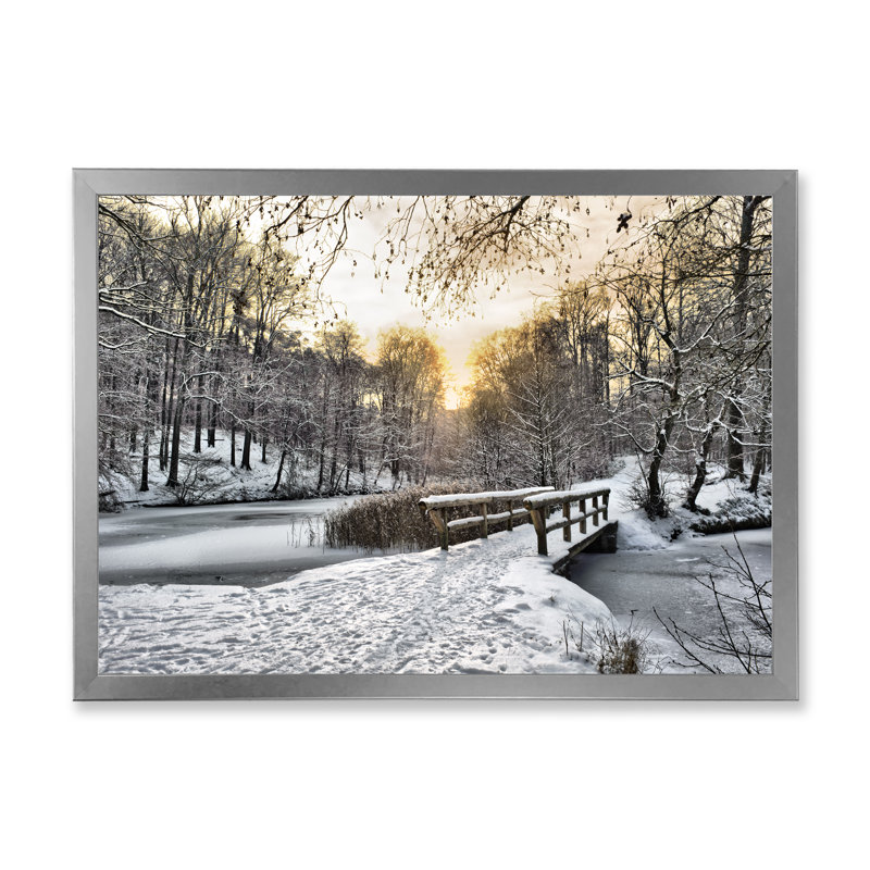 Erdrich - Décoration murale traditionnelle sur toile, H 30 po x l 40 po x P 1,5 po, Toile argentée avec cadre photo