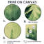 Cleman - impressions murales florales-1992699764-1992699763-1992699762