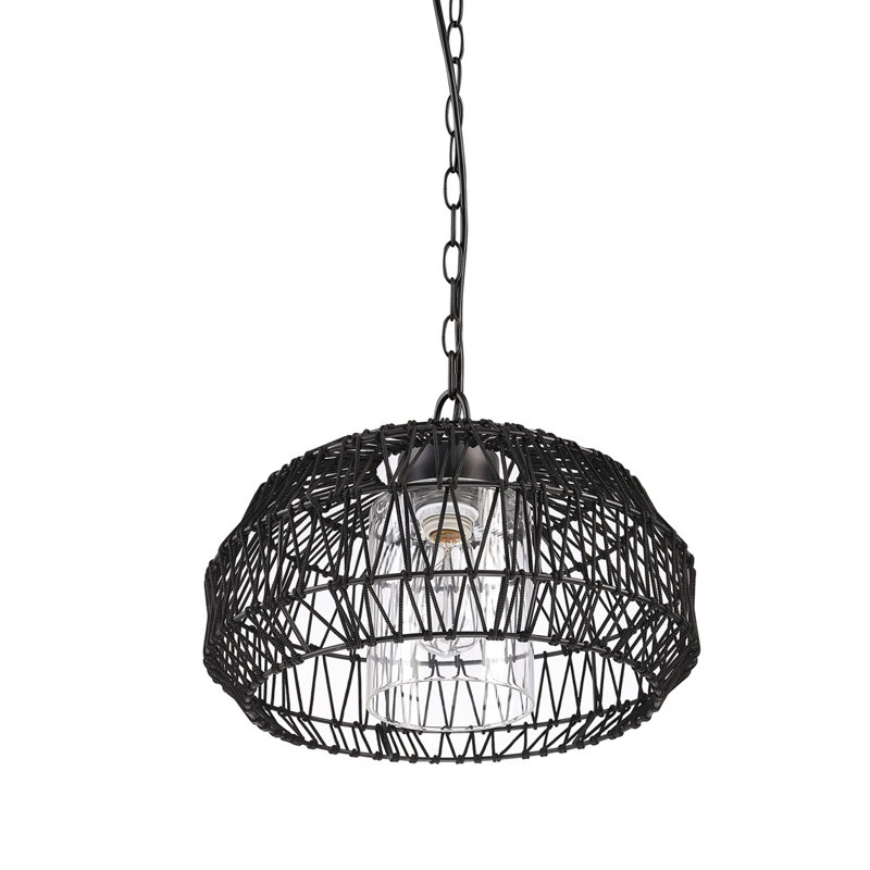 1 Light Outdoor Plug in Pendant Light