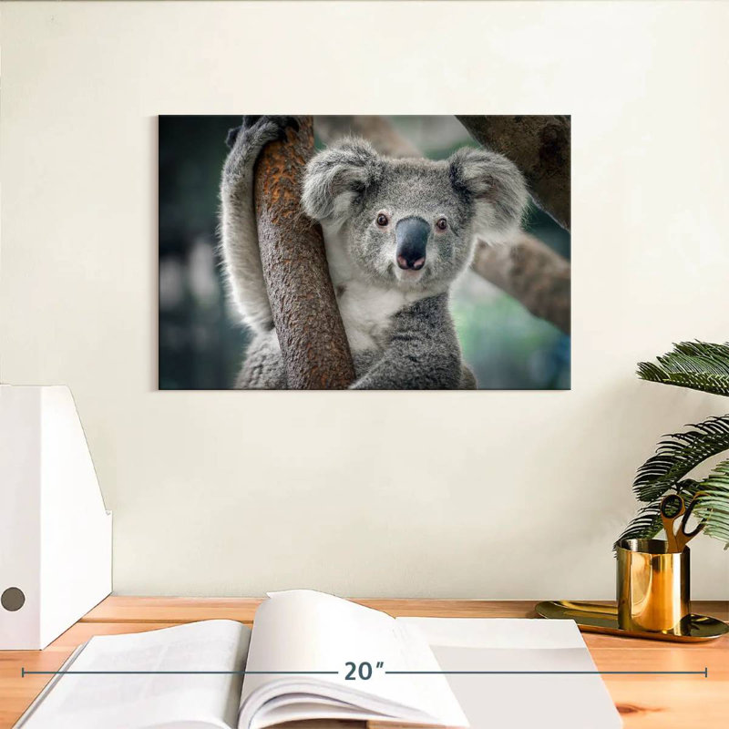 Brampt Happy Koala