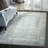 Partee Performance Oriental Rug-1826117095