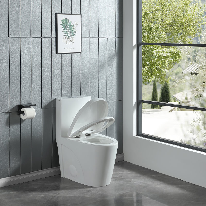 1.1/1.6 GPF Dual-Flush Elongated One-Piece Toilet with 17.13 in. Comfort Seat Height, Ceramic Glazed Surface(Soft Close Seat Included), Glossy White