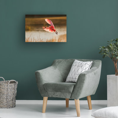 Bolog Aijing H. Roseate Spoonbill Canvas Art