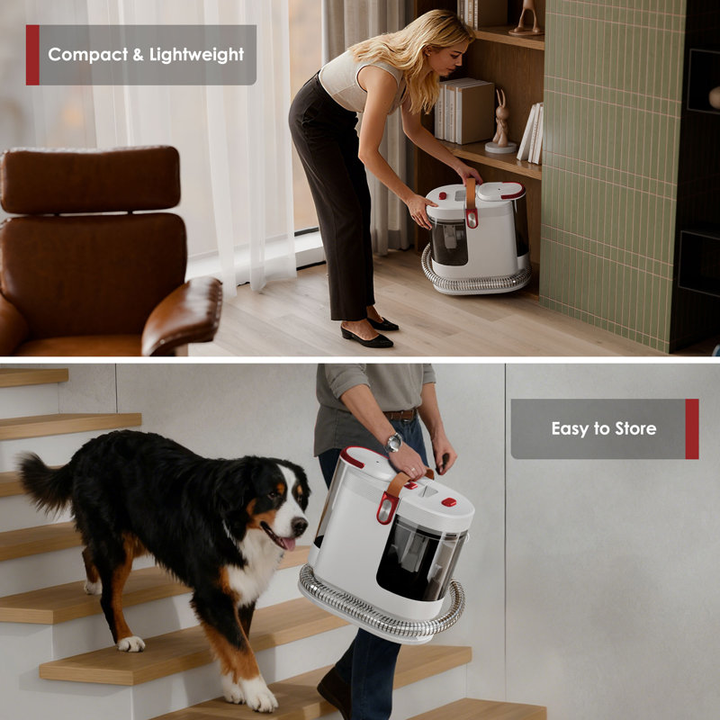 Whall Portable Carpet Cleaner, Removes Pet Stains From Carpet/upholstery/car Seats Wide Path Tool & Self-cleaning