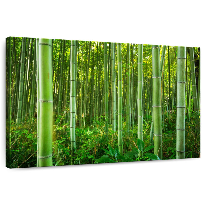 Alvord Bamboo Jungle, 8" H x 12" W
