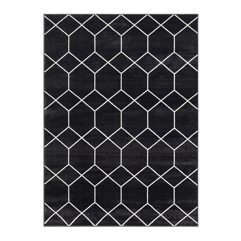 Trellis Geometric Woven Area Rug