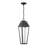 Brookline LED Outdoor Dark Sky Hanging Lantern in Matte Black