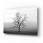 "Velvet Sunrise" par Nicholas Bell, photographie-1457389375