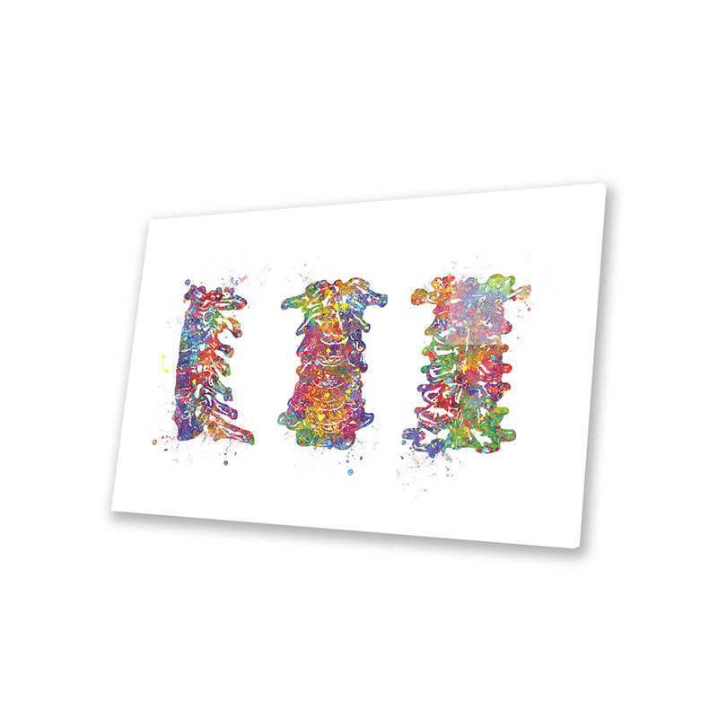 Impression de colonne cervicale sur verre acrylique, H 16 po x l 24 po x P 0,25 po