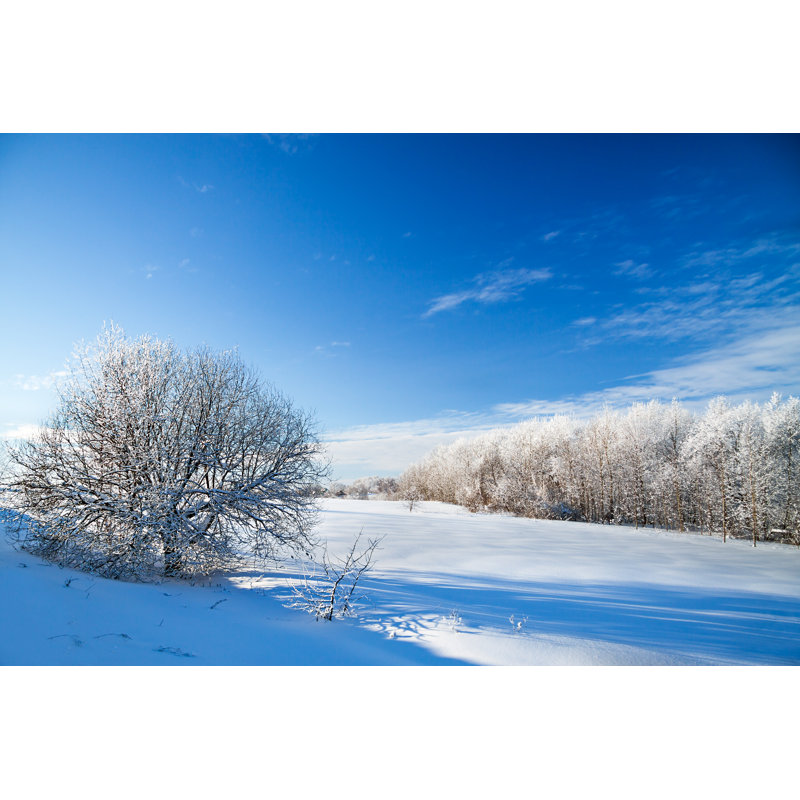 Blassingame Winter Rural Landscape by Yanikap - Wrapped Canvas Print, 61cm H x 91cm W 3.8cm D