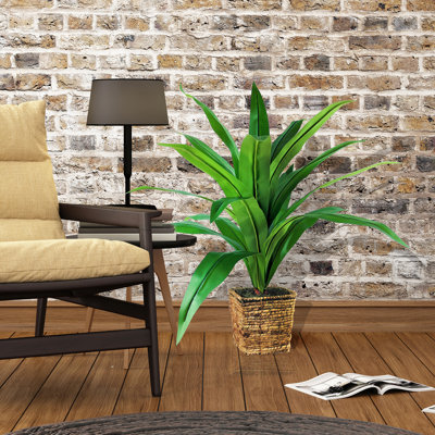 34'' Faux Dracaena Plant in Wicker/Rattan Basket