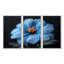 Bleu orange délicat Marigold Photo II - ensemble d'art mural souci-1124817105-1124817111