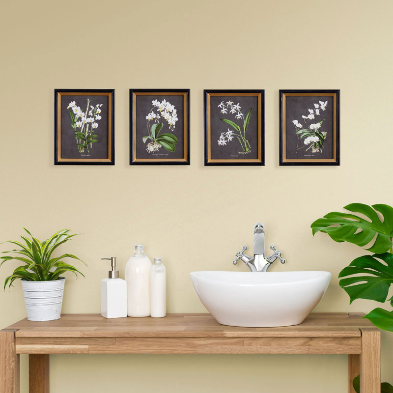 ORCHID STUDY