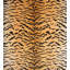 Tiger Fabric