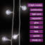 LED Twinkle Indoor / Outdoor String Lights-829771836