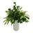 Budding Hydrangeas and Boxwoods in Ceramic Vase