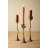 SET OF THREE TAPER CANDLE HOLDERS - TULIPS