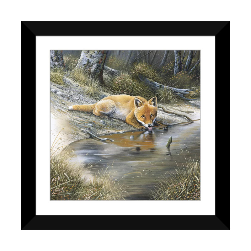 «A Fox Dr potable Water», impression sur toile, Papier d'art encadré noir, Blanc, H 24 po x l 24 po x P 1 po