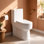 Toilette compacte une pièce BCANHome avec couvercle de siège à fermeture en douceur, double chasse à haut rendement de 1,2 / 1,8 GPF, vitrage résistant à la saleté, peu encombrante pour des aménagements limités
