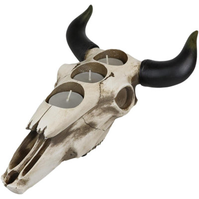 Crâne de vache bœuf Ebros