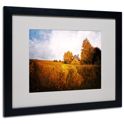 « light in vignobles », reproduction de photo sur toile encadrée