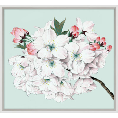 Powder Blue Blossom 5 Print