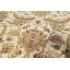 Wool Oriental Area Rug in Ivory