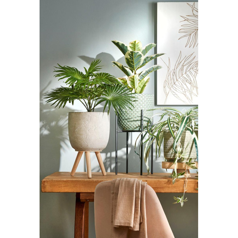 Miki Ceramic Pot Planter