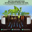 Raised Garden Bed-820090454
