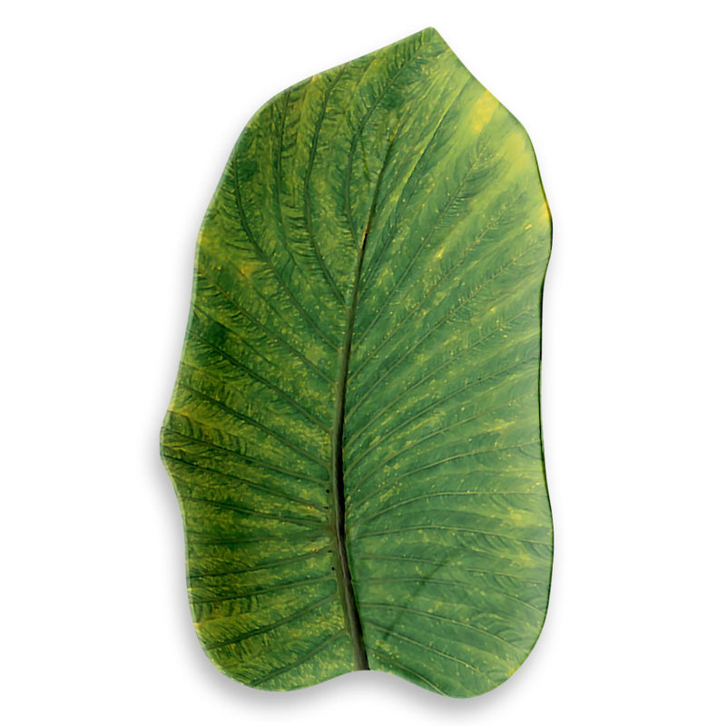 Beachcrest Home™ Myrie Melamine Platter