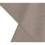 Area Rug in Brown