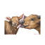 Mother's Love 1 Piece Wrapped Canvas Painting-2015850202