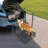 3 - Step Steel Small Step Ladder