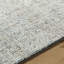 Alicia Hand Tufted Area Rug in Gray-1027137034