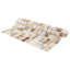 Carrelage mural coquillage 0,71 "x 0,71" Conchella