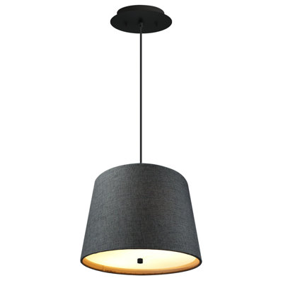2 - Light Black/White Single Pendant