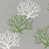 Isadella Costal Green selected