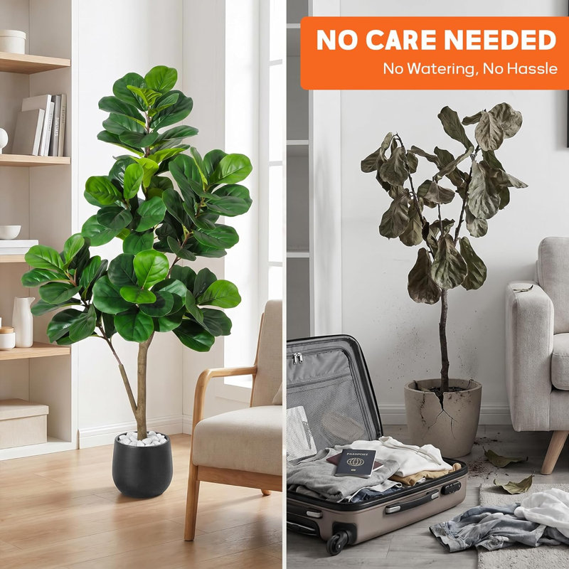 120cm Plant