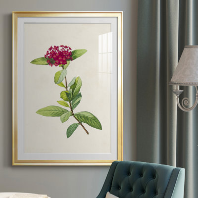 " Pretty Pink Botanicals II "