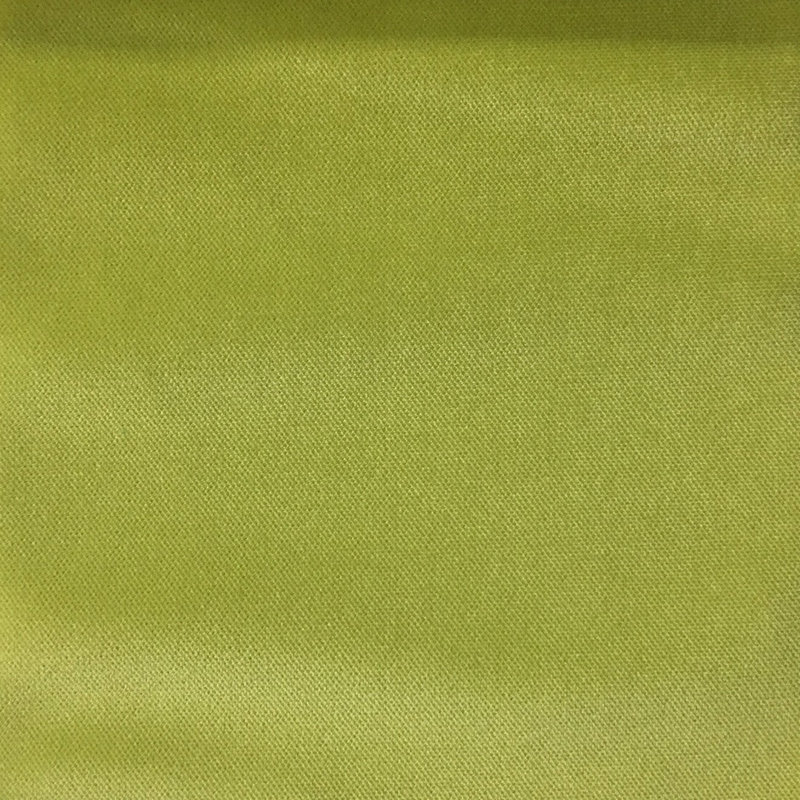 Velours de satin de coton Belvedere-Byron, Herbe