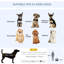 Foldable Pet Carrier for Dogs Cat Carrier-74777167-81878542