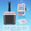 Picnic Cooler