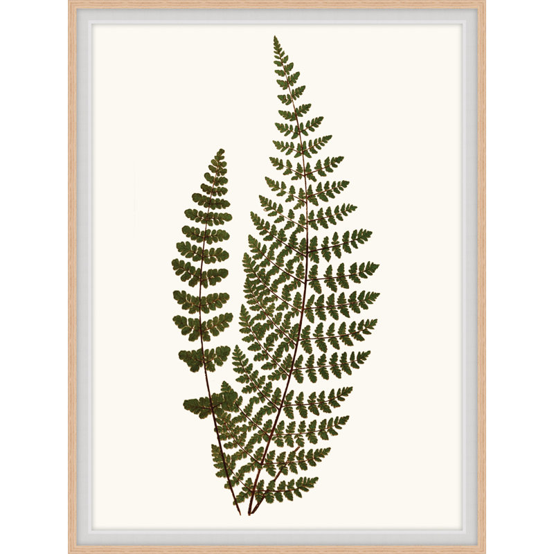 Elevated Undergrowth 6 Print by Art House Studios, 24" H x 19" W x 2" D
