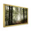 Lumière dans une forêt d'automne dense avec brouillard, œuvre d'art-358135810-304307549-358135837