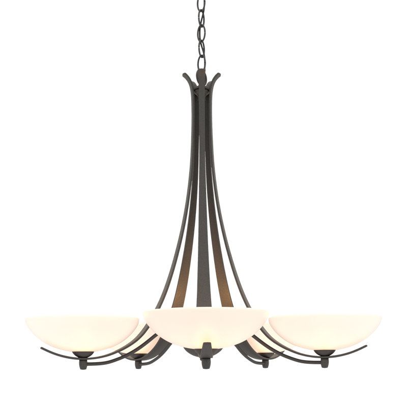 Aegis 5 - Light Shaded Classic/Traditional Chandelier, Natural lron