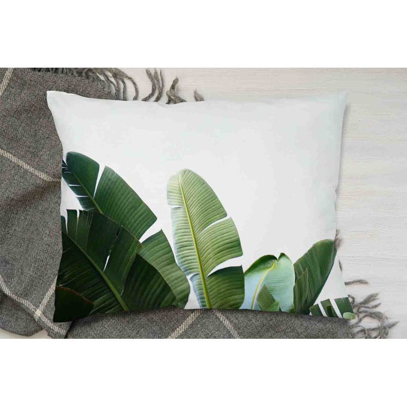 Cushion